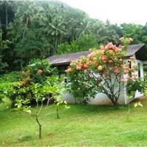  Hotel Chez Lionel Polynésie française